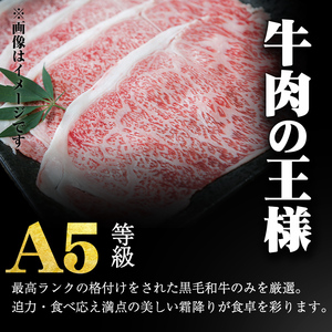 【2024年4月末までに配送】「牛肉の王様」A5等級鹿児島県産黒毛和牛サーロインスライス1kg(200g×5パック)！ b7-015-2404