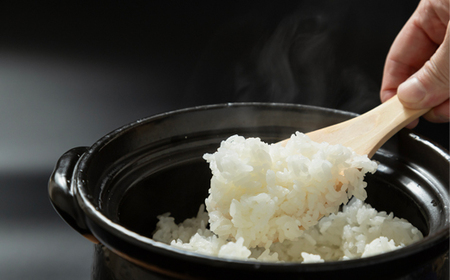 お米 米 令和7年産 つや姫  無洗米 1月以降順次発送 5kg 5kg×1袋 山形県産 ap-tsmxa5-0