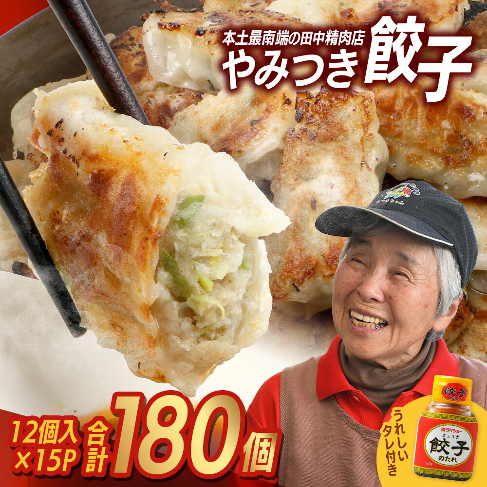【ふるさと納税】佐多の田中肉屋ニンニクたっぷりやみつき餃子 180個（12個入り×15パック） 餃子のタレ2本付き | ギョウザ にんにく スタミナ餃子 大容量 手作り おかず ビールと一緒に 冷凍 産地直送 鹿児島県 南大隅町 田中精肉店　TA-1