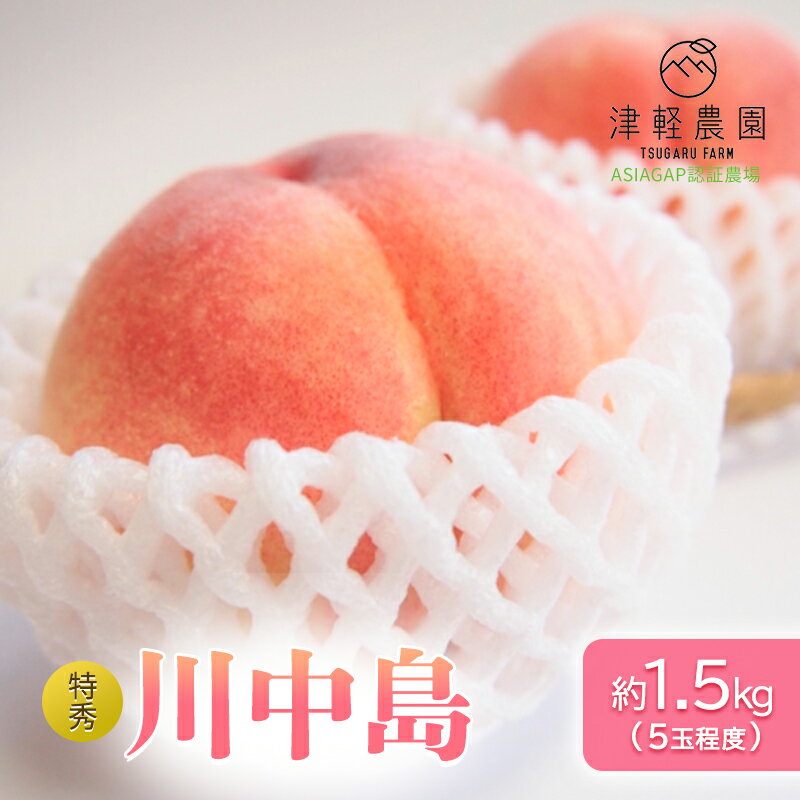 【ふるさと納税】【 2025年産 桃の王様 川中島 】特秀 約 1.5kg 5玉前後 ASIAGAP認証農場 津軽農園 採れたて 農家直送 　お届け：2025年8月18日～2025年9月7日