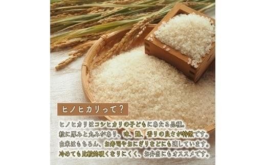 【精米】【 最短 翌日発送 】令和7年産 ヒノヒカリ 八千種米 お米 5kg ごはん 兵庫県産 世界かんがい施設遺産登録『西光寺野疏水路』 回数：１回
容量：5Kg