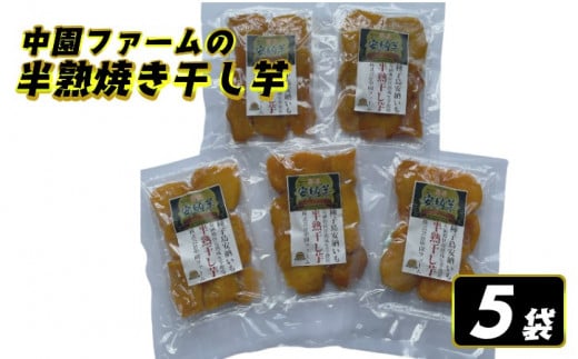 中園ファーム の 半熟 焼き 干し芋  100g×５袋　NFN510 【250pt】