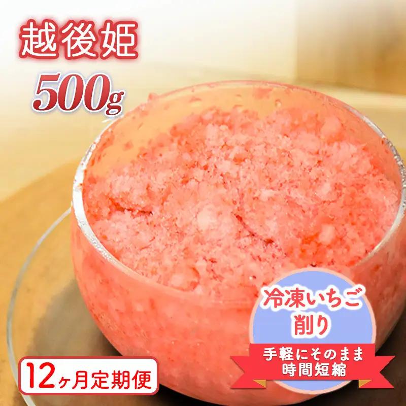 【12ヶ月定期便】削りいちご 越後姫 500g いちご フルーツ