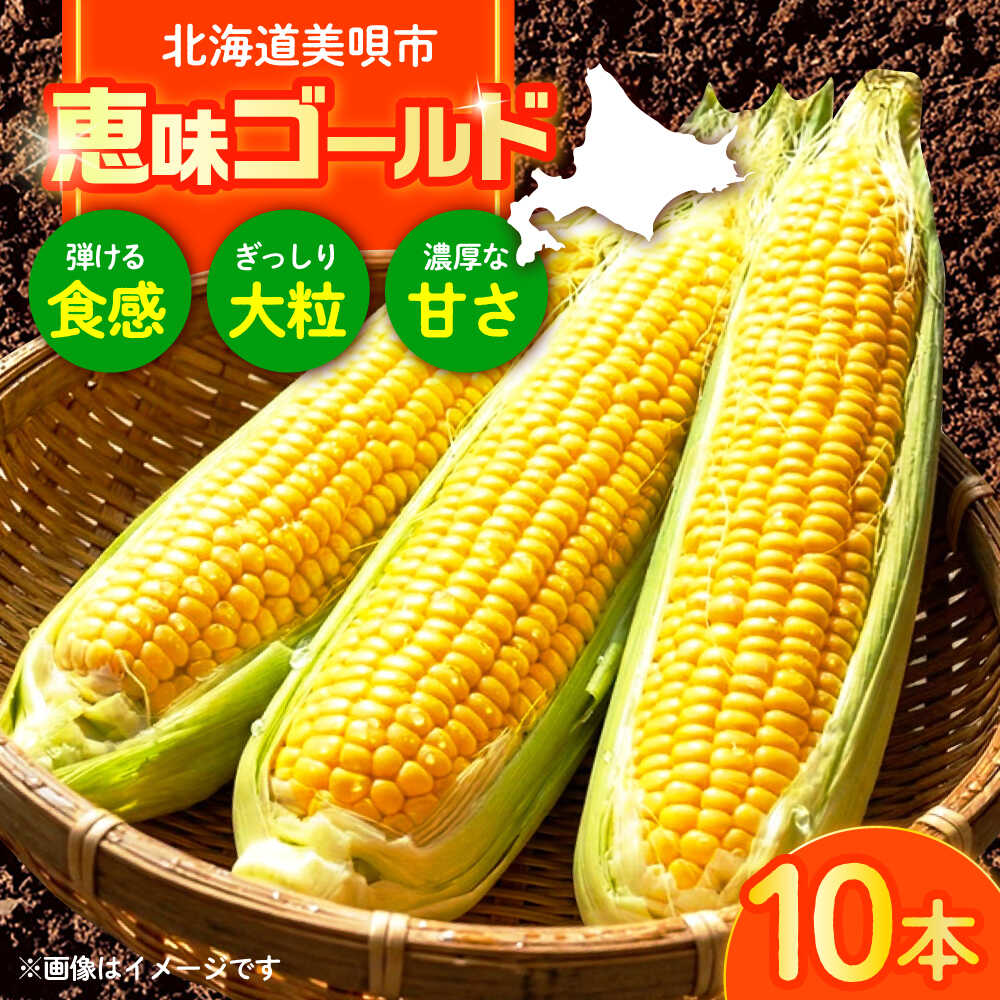 【ふるさと納税】【2026年8月上旬〜順次発送】 スイートコーン 恵味ゴールド 10本入 | 北海道産 とうもころし トウモロコシ 野菜 北海道 期間限定 数量限定 | JAみねのぶ[BOAG032]