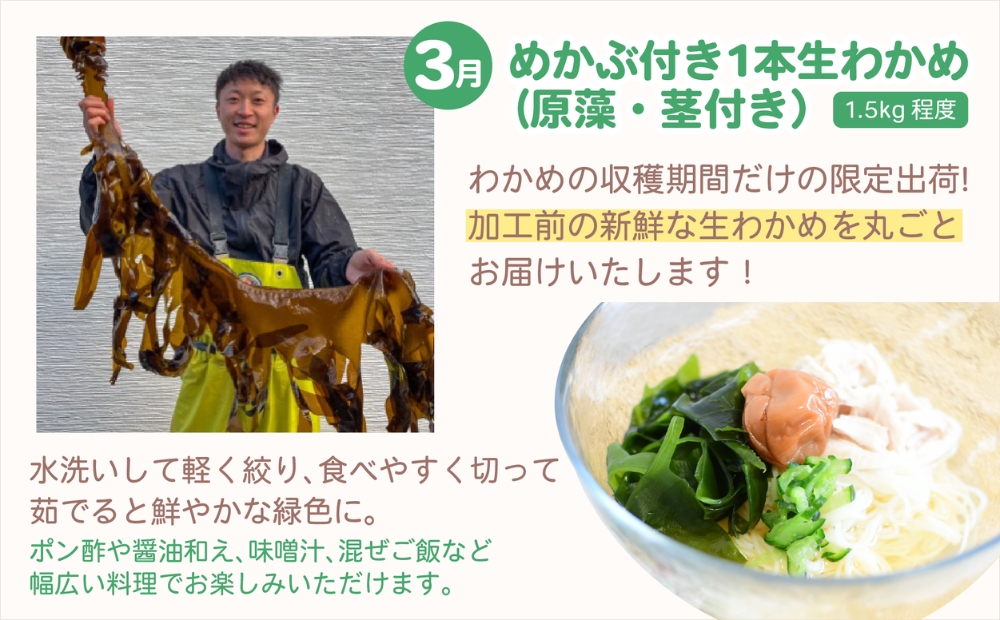 【全4回定期便】鳴門大毛島わかめ・らっきょうセット（1/3/5/7月）