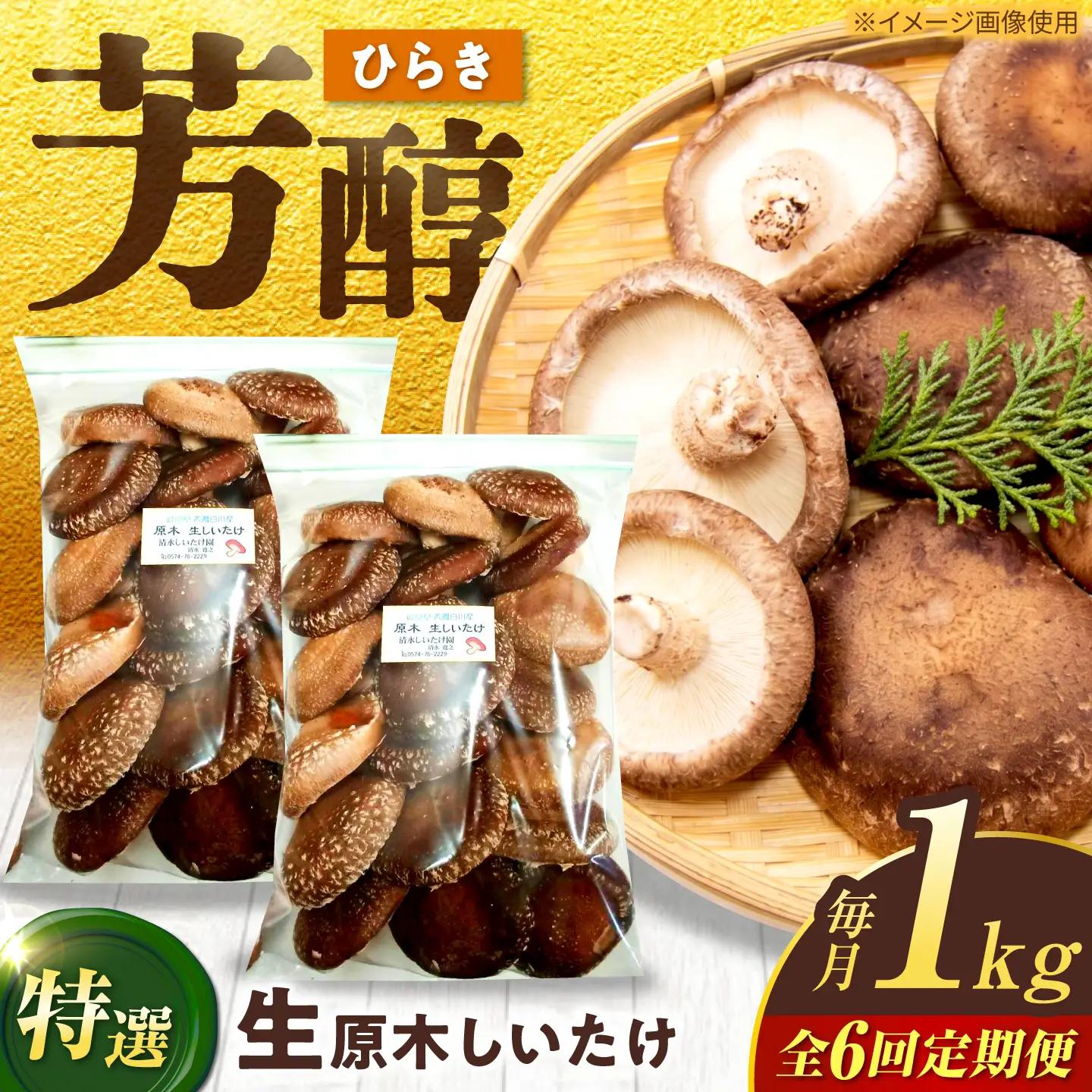 【6回定期便】生しいたけ ひらき 1kg / 清水しいたけ園[AWAY009]椎茸