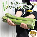 【ふるさと納税】【2025年発送】生で食べられるアスパラ　北海道富良野産 グリーンアスパラガス 2Lサイズ 500g_ アスパラ アスパラガス グリーンアスパラ 野菜 国産 北海道産 富良野 産地直送 旬 生 冷蔵 とれたて 新鮮 送料無料 贈答 【配送不可地域：離島】【1400594】