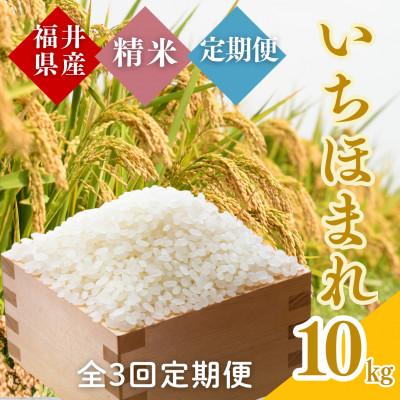 ふるさと納税 小浜市 【毎月定期便】いちほまれ白米10kg全3回