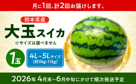 【先行予約】 【2回定期便】 大玉スイカ！4L～5Lサイズ（1玉 約9kg～11kg）　2種類楽しめる！ 1玉入りを2回お届け！ 【城野農園】[ZFV007]