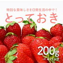 【ふるさと納税】1365 ＜鳥取県産いちご＞とっておき(200g×4パック)(鳥取マーケット)