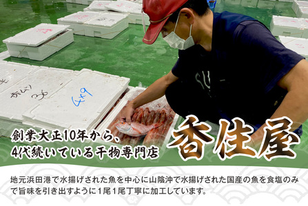 山陰浜田 香住屋のこだわり干物 「のどぐろ一夜干し」（2～3尾） 魚介類 魚 のどぐろ 一夜干し 干物 専門店 クール冷凍便 冷凍 ふるさと納税 のどくろ【947】