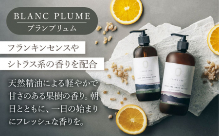 【全3回定期便】COKONLAB ハンド＆ボディウォッシュ ブランプリュム480ml×2本【株式会社 あつまるホールディングス NSP山鹿工場】化粧品 コスメ 美容 国産 ボディケア ハンドケア [Z