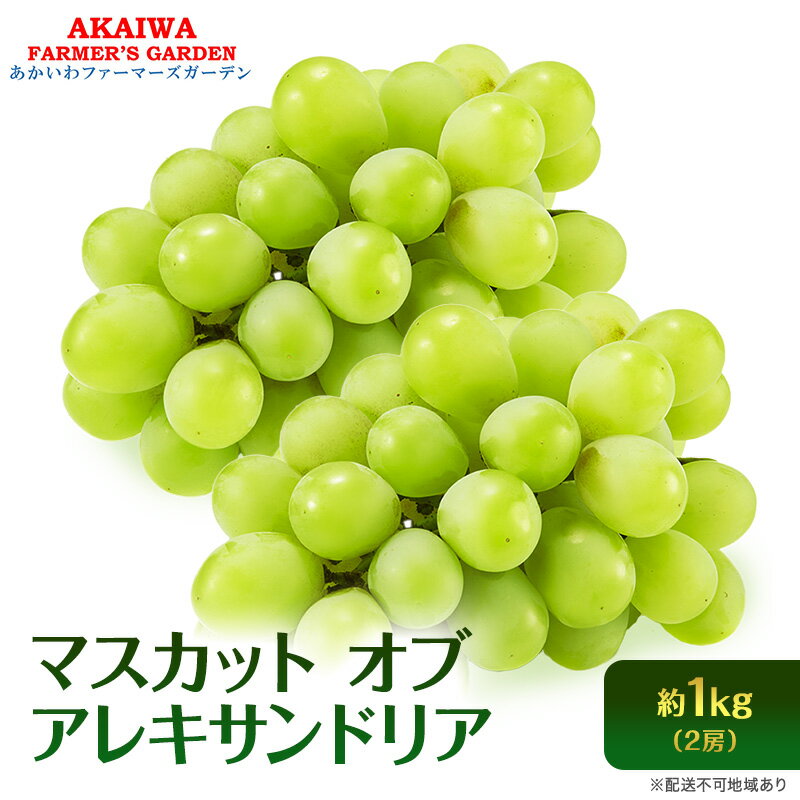 【ふるさと納税】ぶどう 2026年 先行予約 マスカット オブ アレキサンドリア 2房 (約1.0kg) 葡萄 岡山県 赤磐市産 フルーツ 果物 ブドウ 果物類　お届け：2026年8月下旬～2026年9月中旬