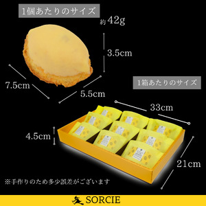 焼き菓子 ギフト レモンケーキ 9個入 【 手提げ袋付 】 スイーツ 個包装 | デザート ケーキ お菓子 洋菓子 冷凍 着日指定 お誕生日 誕生日 ギフト お祝い 愛媛県 松山市【IT020】