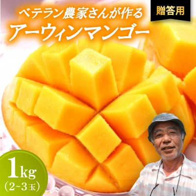 【2026年7月から順次発送・贈答用】ベテラン農家さんが作る アーウィンマンゴー1kg(2～3玉)【配送不可地域：離島】