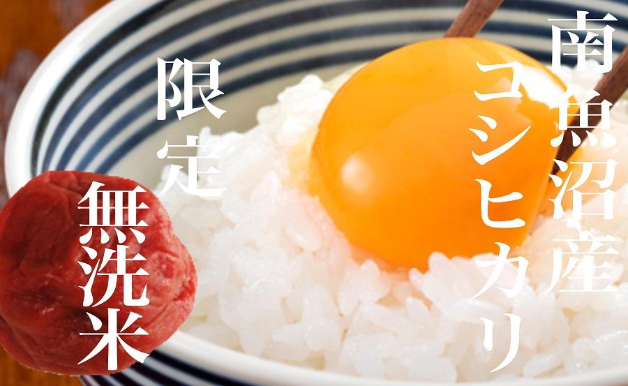【令和7年産】【定期便】《無洗米》南魚沼産コシヒカリ4Kg×全12回【2025年10月上旬より順次発送予定】