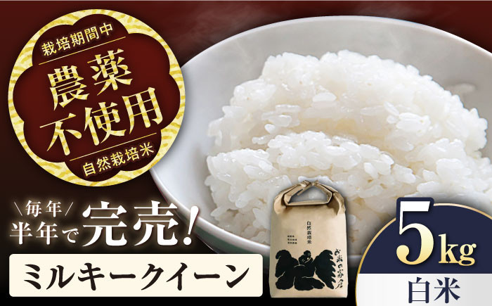 
            【スピード配送】ミルキークイーン 5kg 白米 自然栽培米 令和6年産  長浜市/株式会社お米の家倉 [AQCP004] 米 お米 白米  5kg  ミルキークイーン 自然栽培米 すぐ すぐ発送 すぐ届く すぐ来る
          