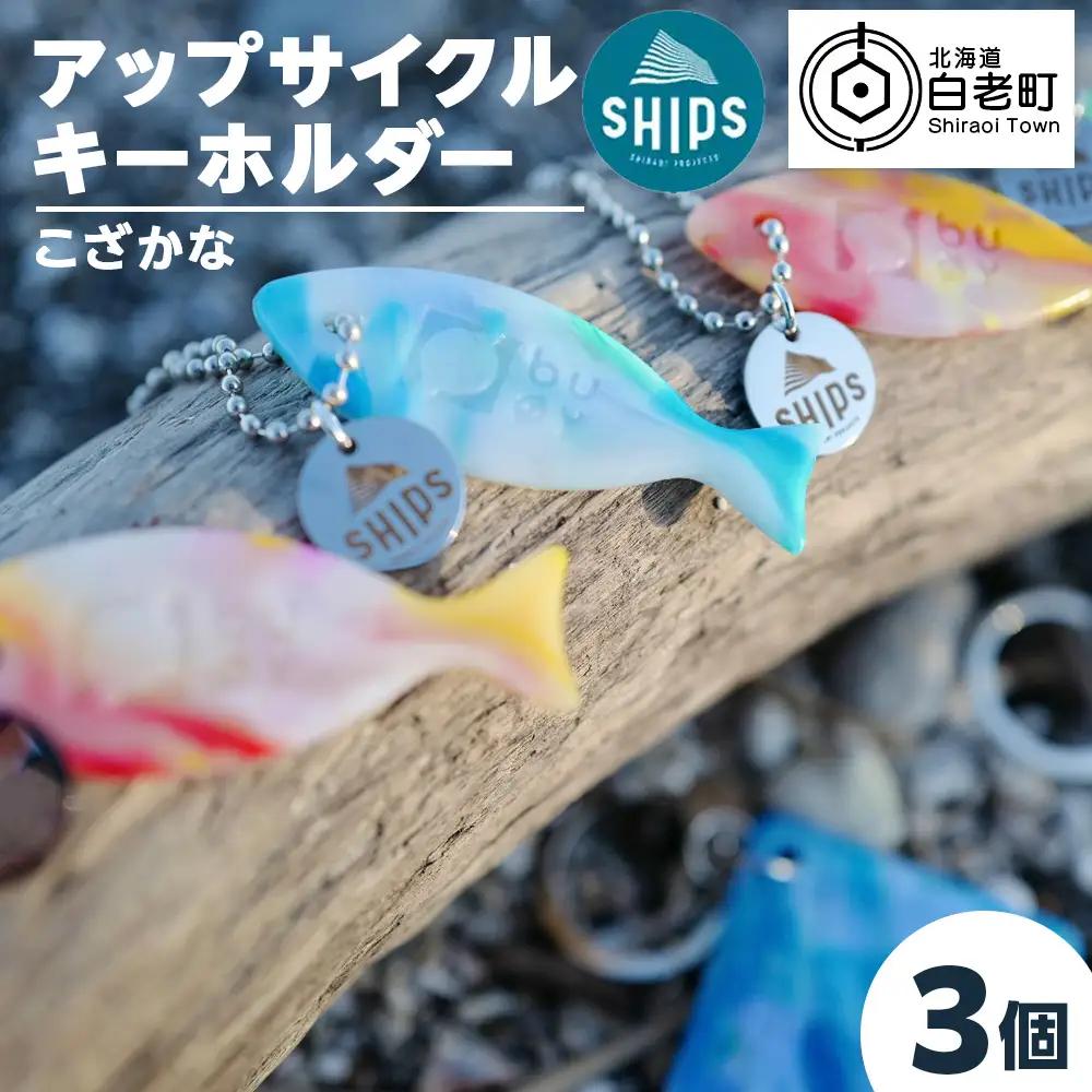 白老産海洋プラスチックゴミのアップサイクル キーホルダー3個(さかな型) SR006