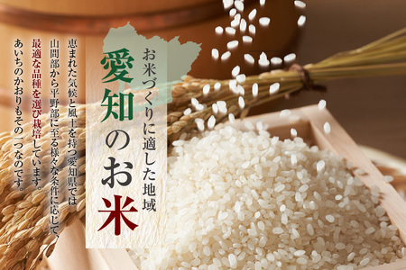 知多米 あいちのかおり5kg お米 白米 うるち米 おこめ 国産 精米 ご飯 おにぎり 朝ごはん ライス 和食 日本食 主食 食卓 お弁当 大粒 つや あっさり 食品 知多半島 お取り寄せ 5キロ 愛