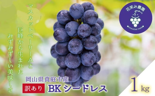 hana62.岡山　花笑み農園の訳あり『BKシードレス』１ｋｇ