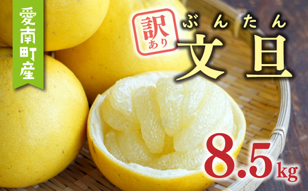  訳あり 文旦 8.5kg あいなんマザーズ