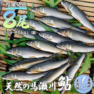 ふるさと納税 下呂市 清流が育む天然の馬瀬川鮎 8尾(1尾あたり50g〜80g以上 (混) 大・中・小セット)【26-3】