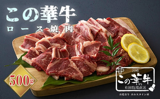 高原有田牧場直送 この華牛 ロース焼肉 (500g)　 TF0460