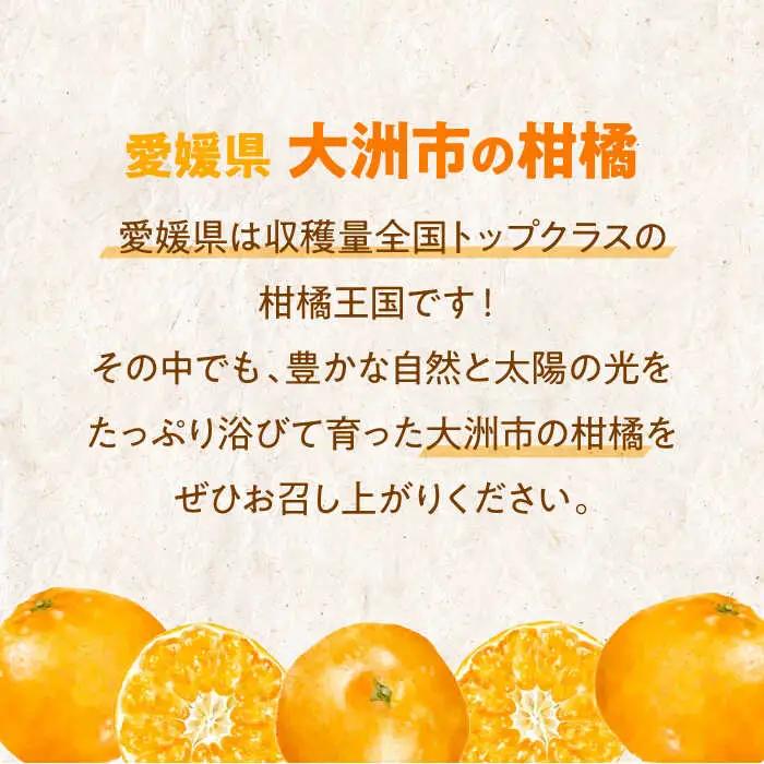【不知火】 不知火 5kg しらぬい [AGBC003]