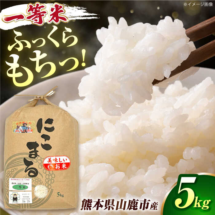 【ふるさと納税】にこまる米 5kg 【道の駅 水辺プラザかもと】[ZEG009]