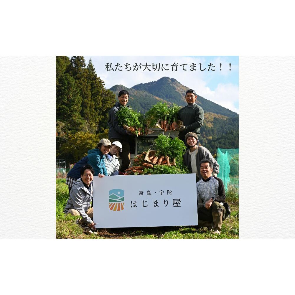 宇陀 はじまり屋の有機人参100％使用 人参ジュース 1000ml×6本／ にんじん 有機野菜 無添加 はじまり屋 奈良県 宇陀市 贈り物 ギフト ふるさと納税_イメージ4