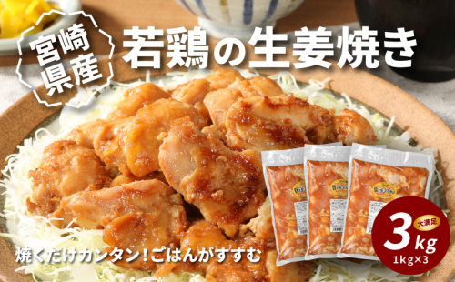 簡単調理 宮崎県産若鶏の生姜焼き3kg(1kg×3P) _K16_0060_4