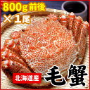 【ふるさと納税】ボイル毛蟹800g前後 選べる 1尾 ～ 2尾 毛がに 毛ガニ 毛蟹 かに カニ 蟹 けがに ケガニ 北海道 根室市 海鮮