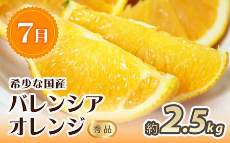 【6・7・9月 全3回】紀州和歌山産旬のフルーツセット（スイカ・バレンシア・シャイン）【UT93】