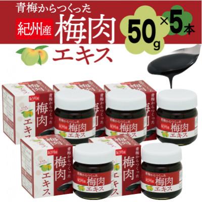 ふるさと納税 橋本市 青梅からつくった紀州産梅肉エキス【1箱50g入り×5箱セット】