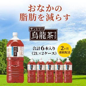 定期便 2ヶ月 サントリー烏龍茶OTPP（機能性表示食品）2L×6本 2箱 ペットボトル
