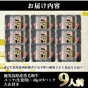 鹿児島県産 黒毛和牛 ユッケ 9人前 40g×9P 計360g 【株式会社LRプラスK】 i1211-A