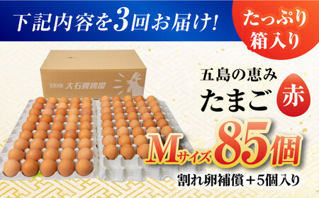 【3回定期便】【箱入り】五島の恵みたまご Mサイズ 85個入 / 卵 赤玉子 五島市 / 五島列島大石養鶏場[PFQ014]  玉子 タマゴ 鶏卵 希少 五島列島
