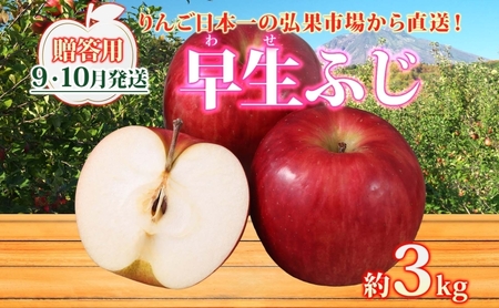 りんご 早生ふじりんご 青森県産 贈答用早生ふじ りんご【約3kg】【9〜10月発送】