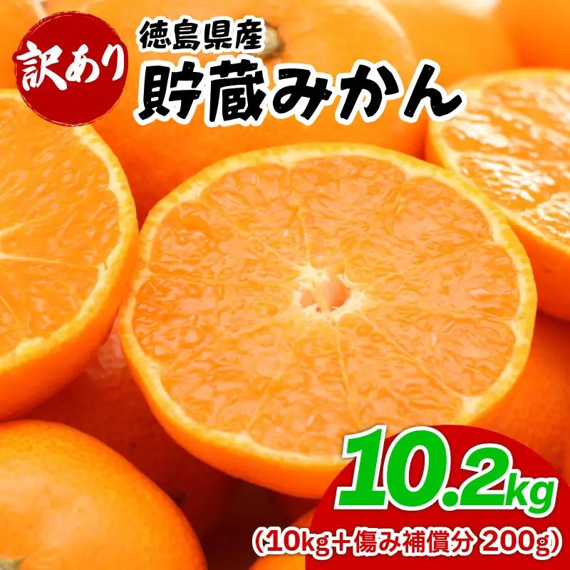 みかん 訳あり 10.2kg みかん