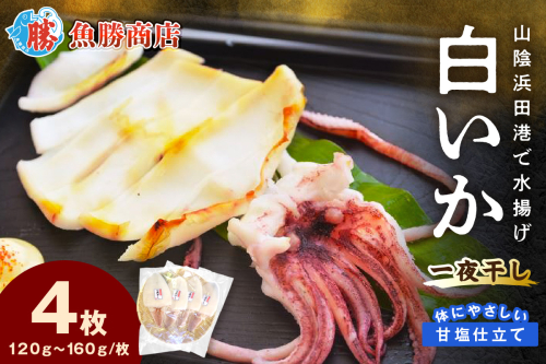 【山陰浜田港・水揚げ】 白いか一夜干し（4枚） 魚介類 魚貝類 干物 干もの 一夜干し 白いか 特産品 つまみ 加工品 【136_1996】