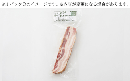 定期便 全3回 / 十勝の無添加豚 ベーコンブロック900g 計2.7kg［うらがみミート］ 無塩せき 保存料・結着剤不使用【 ベーコン 肉 豚 国産 惣菜 おつまみ 料理 燻製 加工品 北海道 十勝