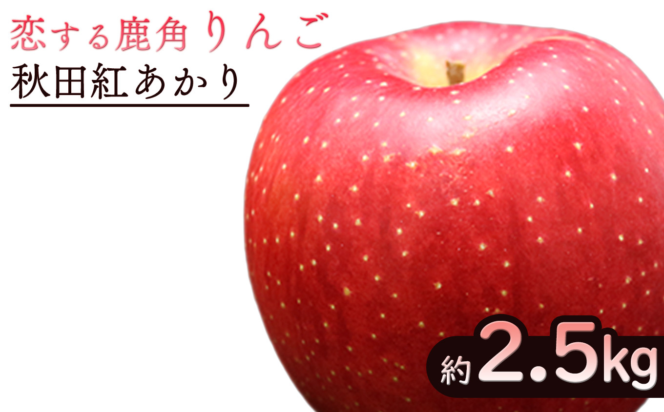 
《先行予約》令和6年産 秋田県鹿角産りんご「秋田紅あかり」 約2.5kg【恋する鹿角カンパニー】●2024年11月中旬発送開始　かづのりんご 食感 果汁 さっぱり リンゴ 完熟 旬 県産りんご 林檎 お中元 お歳暮 贈り物 お見舞い グルメ ギフト 故郷 秋田 あきた 鹿角市 鹿角
