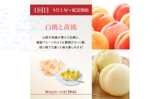  ≪先行受付≫【2026度年発送】8種のフルーツ詰合せセット★スペシャル便【定期便全４回】