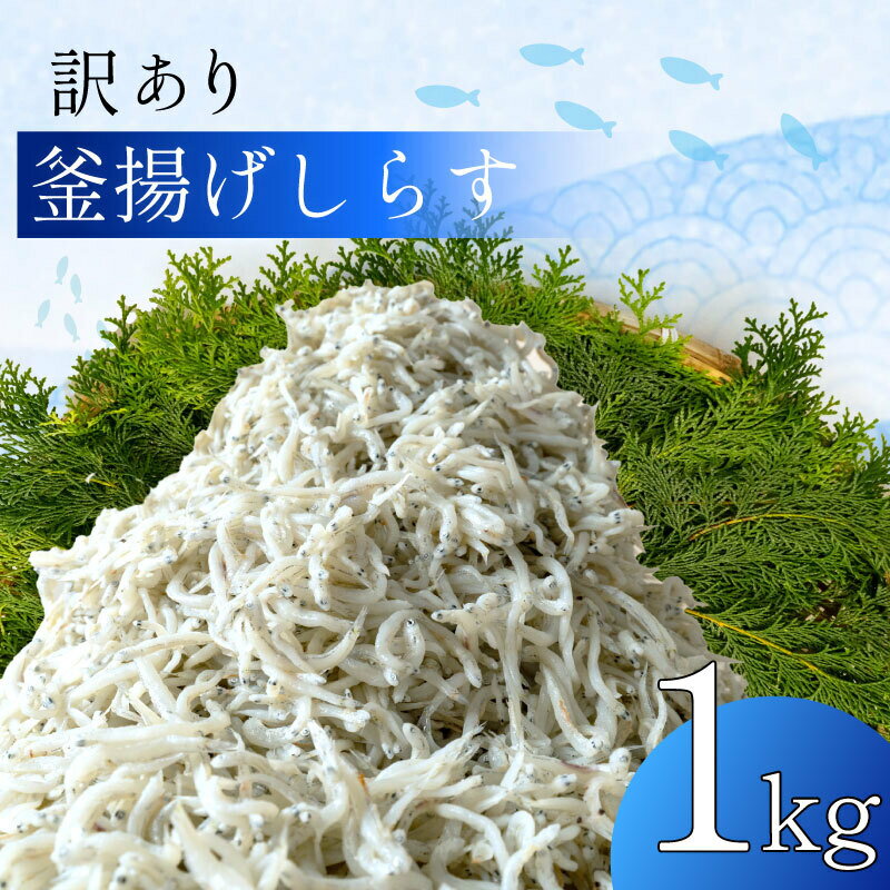 【ふるさと納税】 訳あり 釜揚げしらす 1kg たっぷり 冷凍 小分け パック 500g 2パック 駿河湾