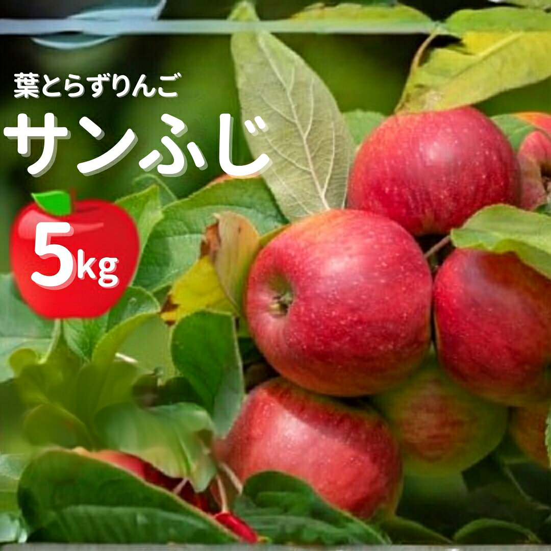 【ふるさと納税】【先行予約】令和8年産 りんご 葉とらずりんご ふじ 約5kg ( 14〜16玉程度 ) | リンゴ 林檎 果物 くだもの フルーツ 産地直送 お取り寄せ 新潟県五泉市産 佐藤りんご園