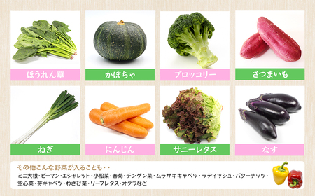 K1665 季節の野菜 「道の駅さかいオリジナル」駅?おすすめ野菜セット
