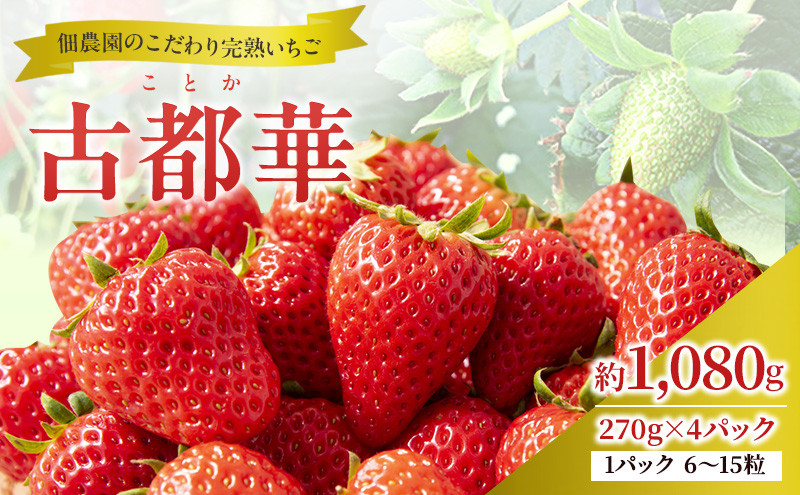 
            佃農園のこだわり完熟 古都華 【いちご】4パック[№5990-0725]
          