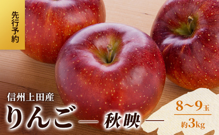 りんご 信州上田産 秋映 家庭用 約3kg 8～9玉 リンゴ 林檎 3kg 果物 くだもの フルーツ デザート 旬の果物 旬のフルーツ 傷 長野県 長野 上田市