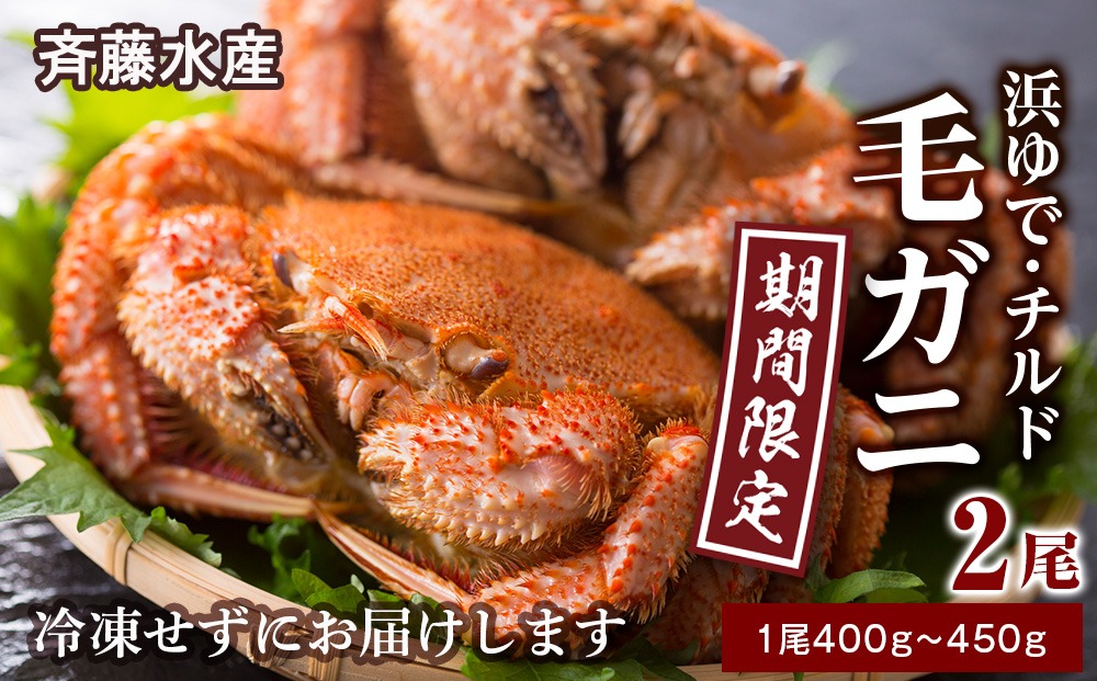 ★期間限定★ 浜ゆで！毛ガニ 約400g～450g×2尾 チルド配送 7/17~7/30発送【斉藤水産】 北海道 冷蔵 チルド 毛蟹 カニ かに 白老 前浜