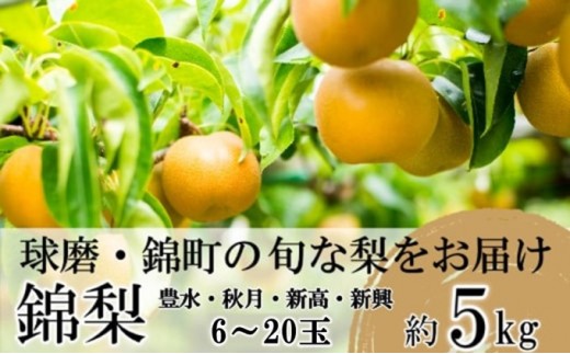 
                  梨 先行予約 旬の梨 約5kg 6玉～20玉 豊水 秋月 新興 新高 錦町産 8月上旬より順次出荷 なし フルーツ 果物 デザート あきづき 配送不可：離島
                
